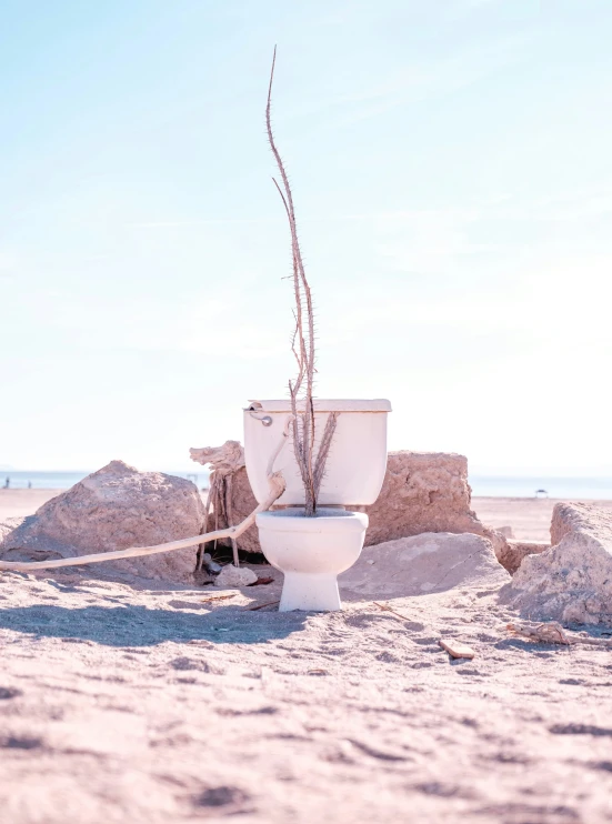 a toilet in the sand with a beach area in the background