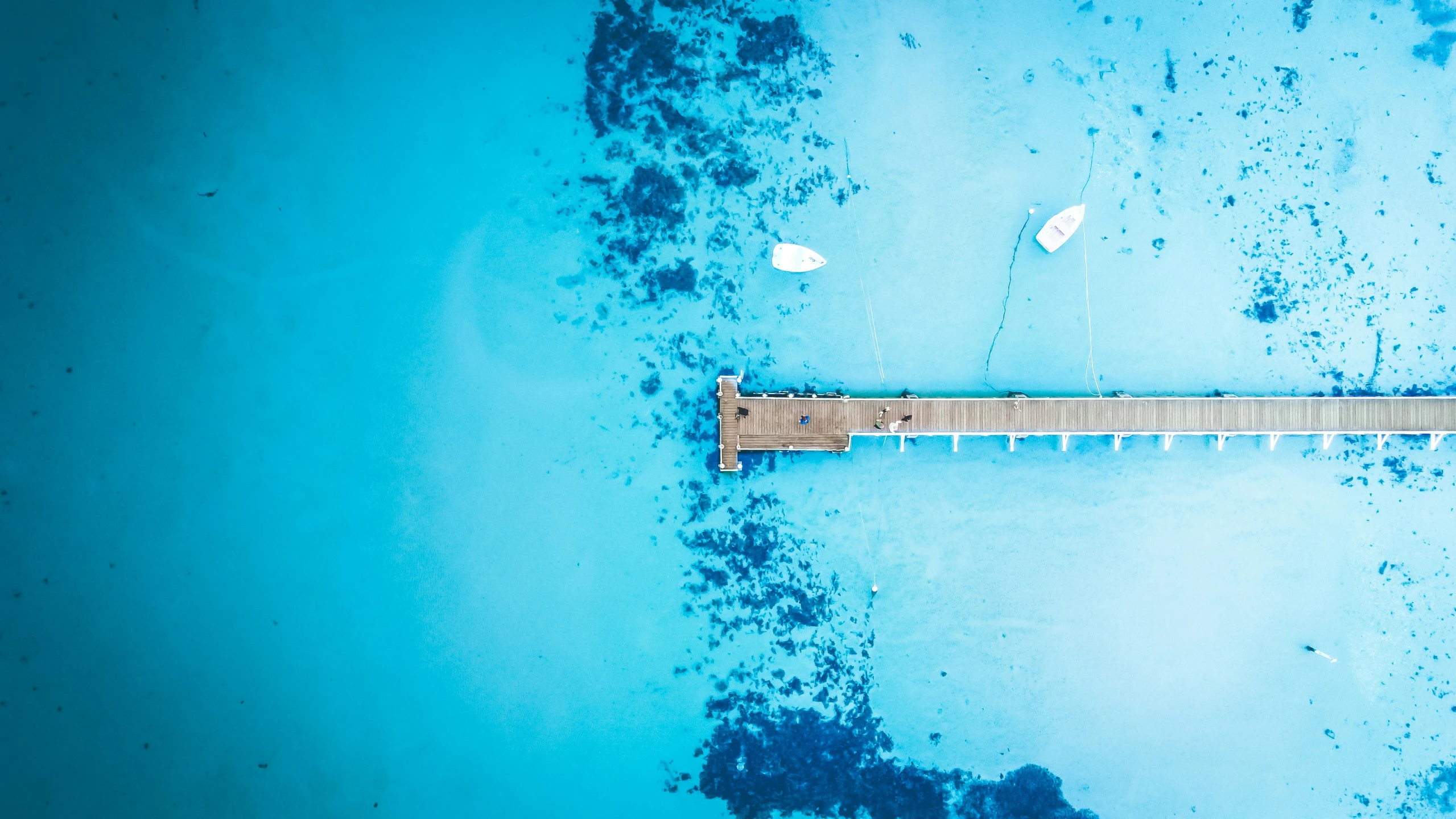 there is a long wooden dock along the beach