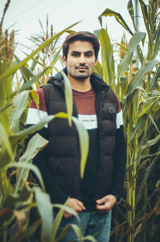 a man in a striped vest standing between a corn crop