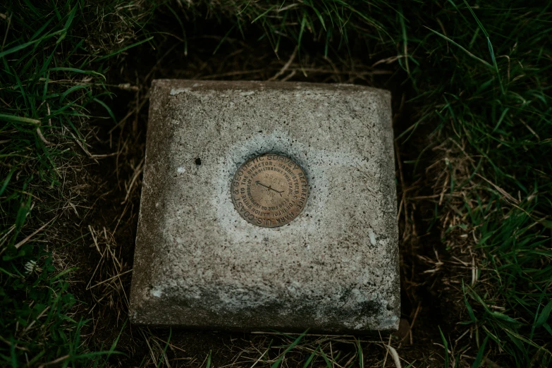 a stone that is laying in the grass