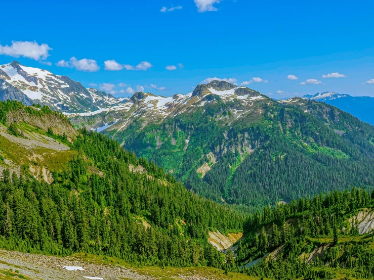 view from a mountain in the mountains with trees and rocks