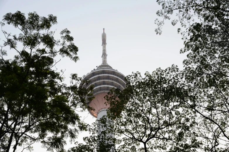 a tall tower with a spire between some trees