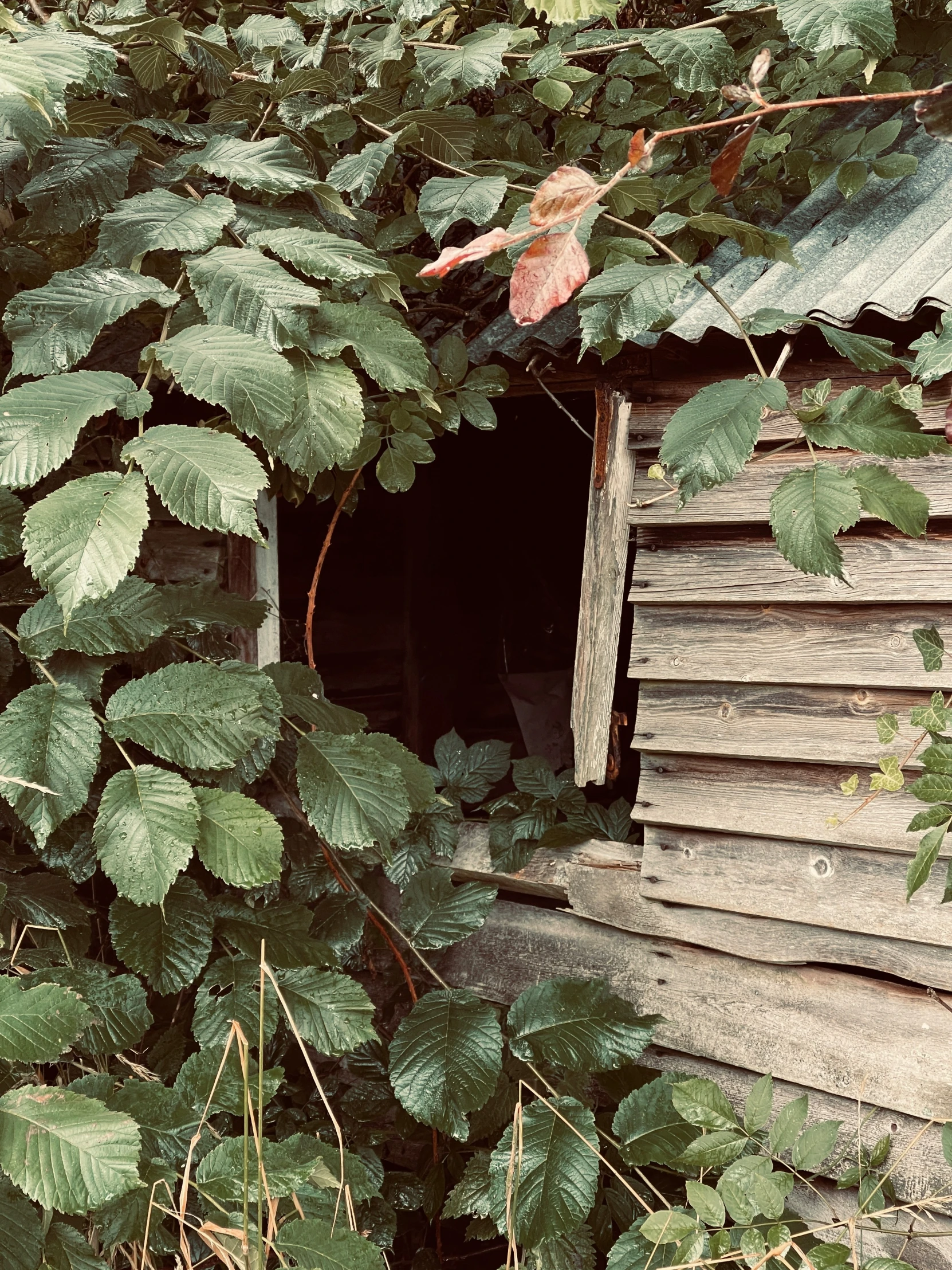 an old rundown building with a broken window