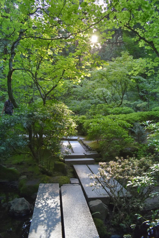 stepping stones lead down to an outdoor water feature