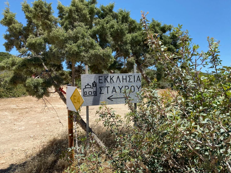 an old sign is near a road near a tree