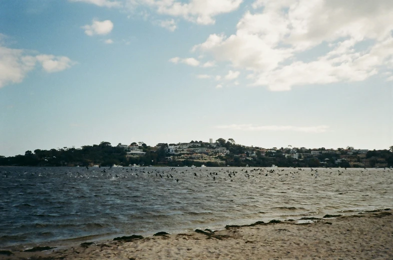 the view of a river from a shore