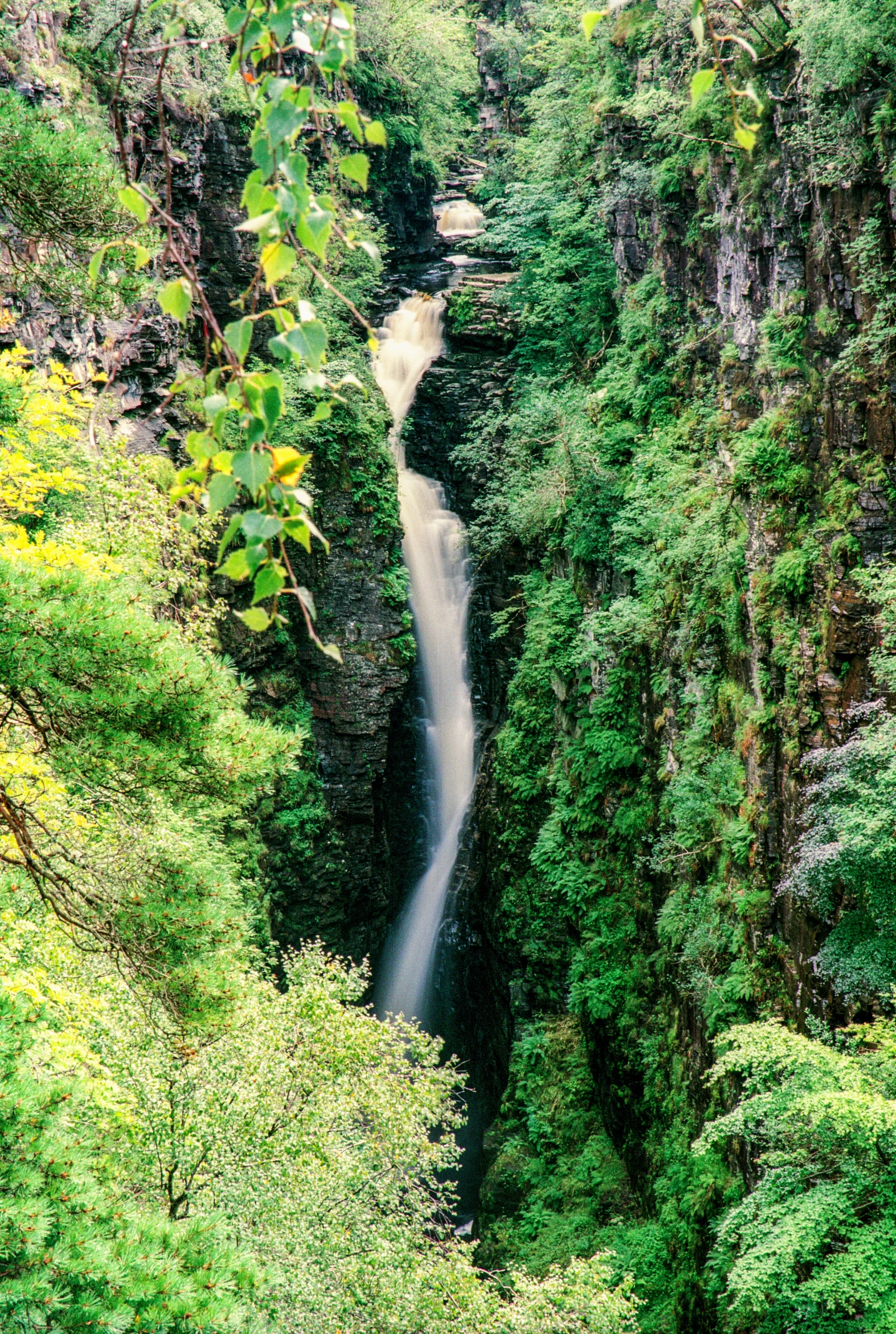 a waterfall in the middle of a deep, green jungle