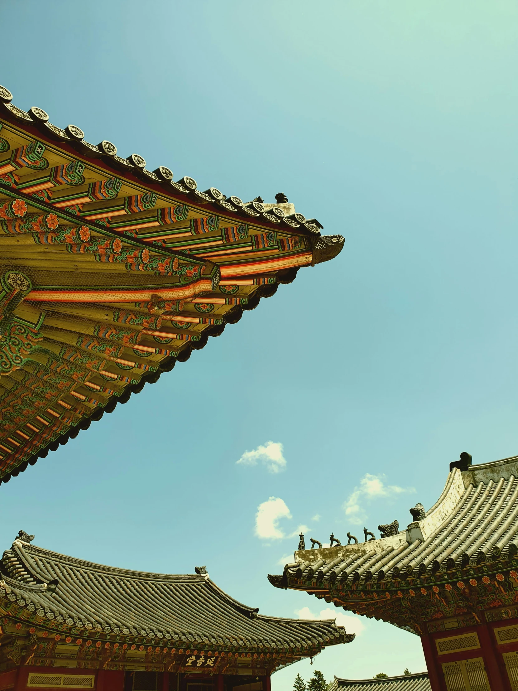 many ornate chinese roofs sit in the sun