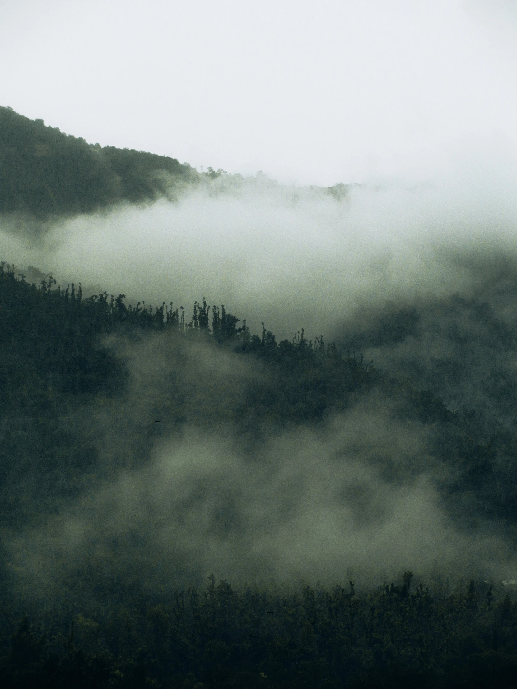 a mountain covered in mist and trees in the distance