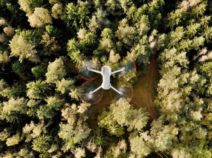 a very pretty plane flying in a sky above trees