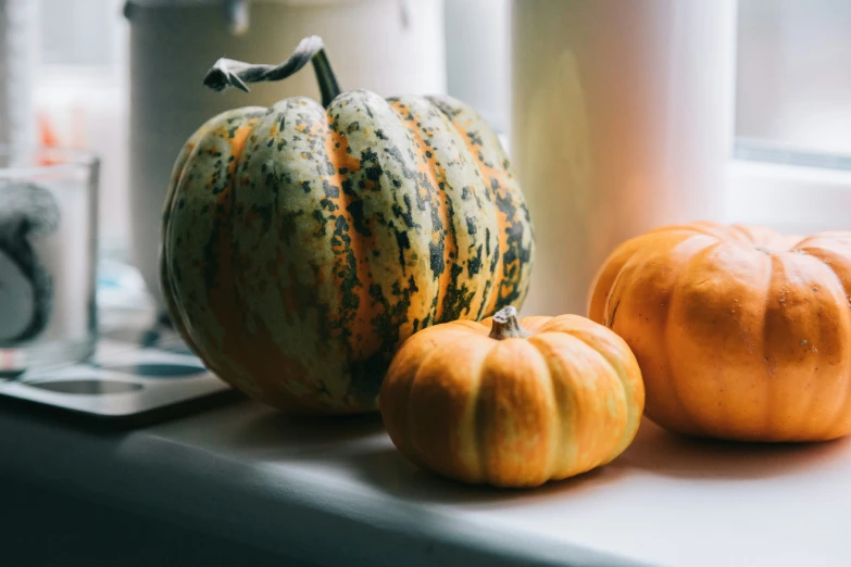 a couple of mini pumpkins sitting on top of a table