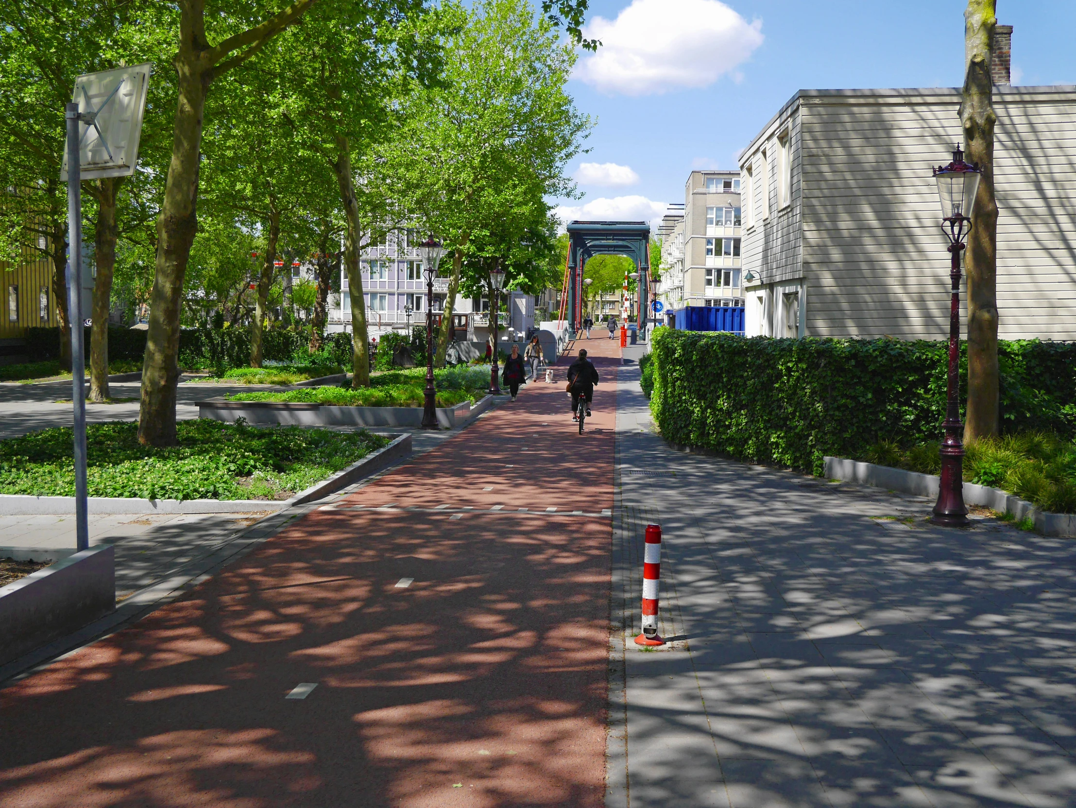 a street in a residential area with many trees lining it