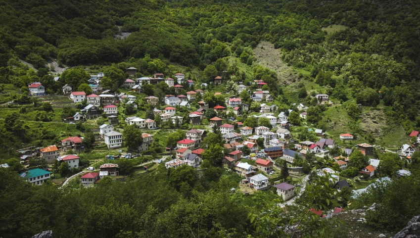 a large area of homes and lots of trees