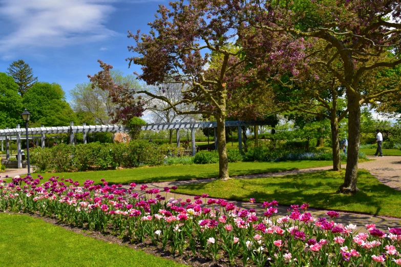 trees and flowers line the edge of a path