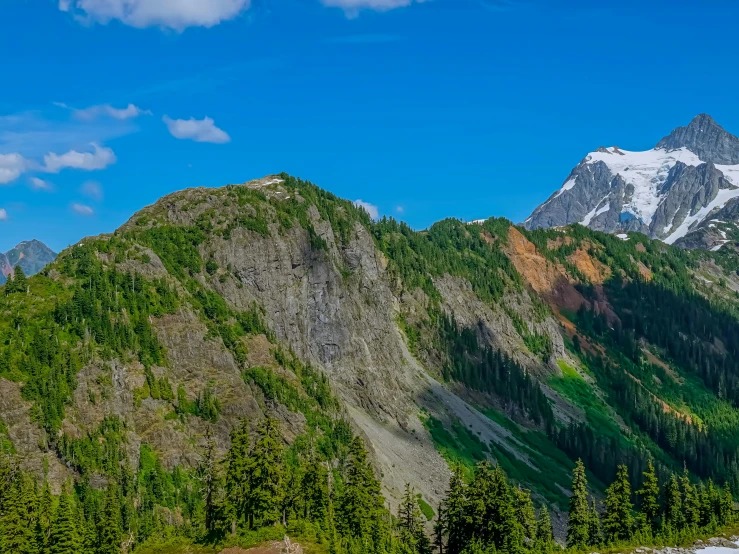 a mountain with some trees and bushes on top of it