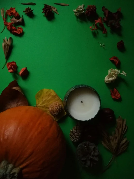 dried flowers and autumn leaves surround a candles holder