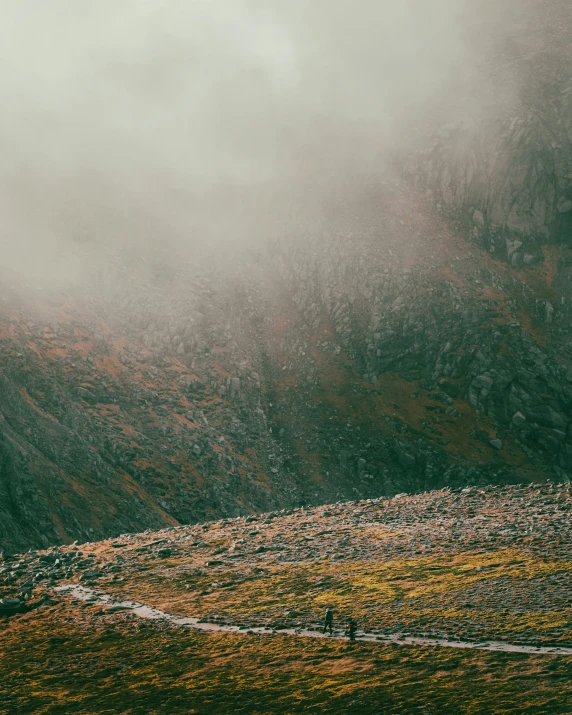 two sheep standing on the grass in front of a mountain