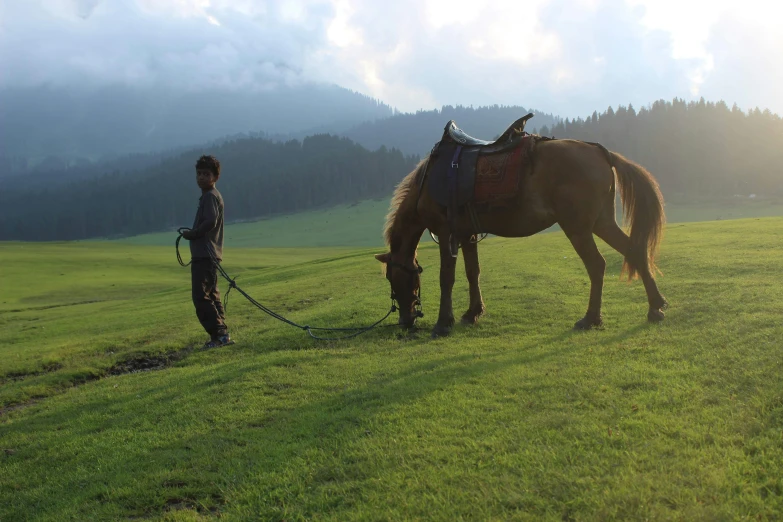 a man is guiding his horse to a field