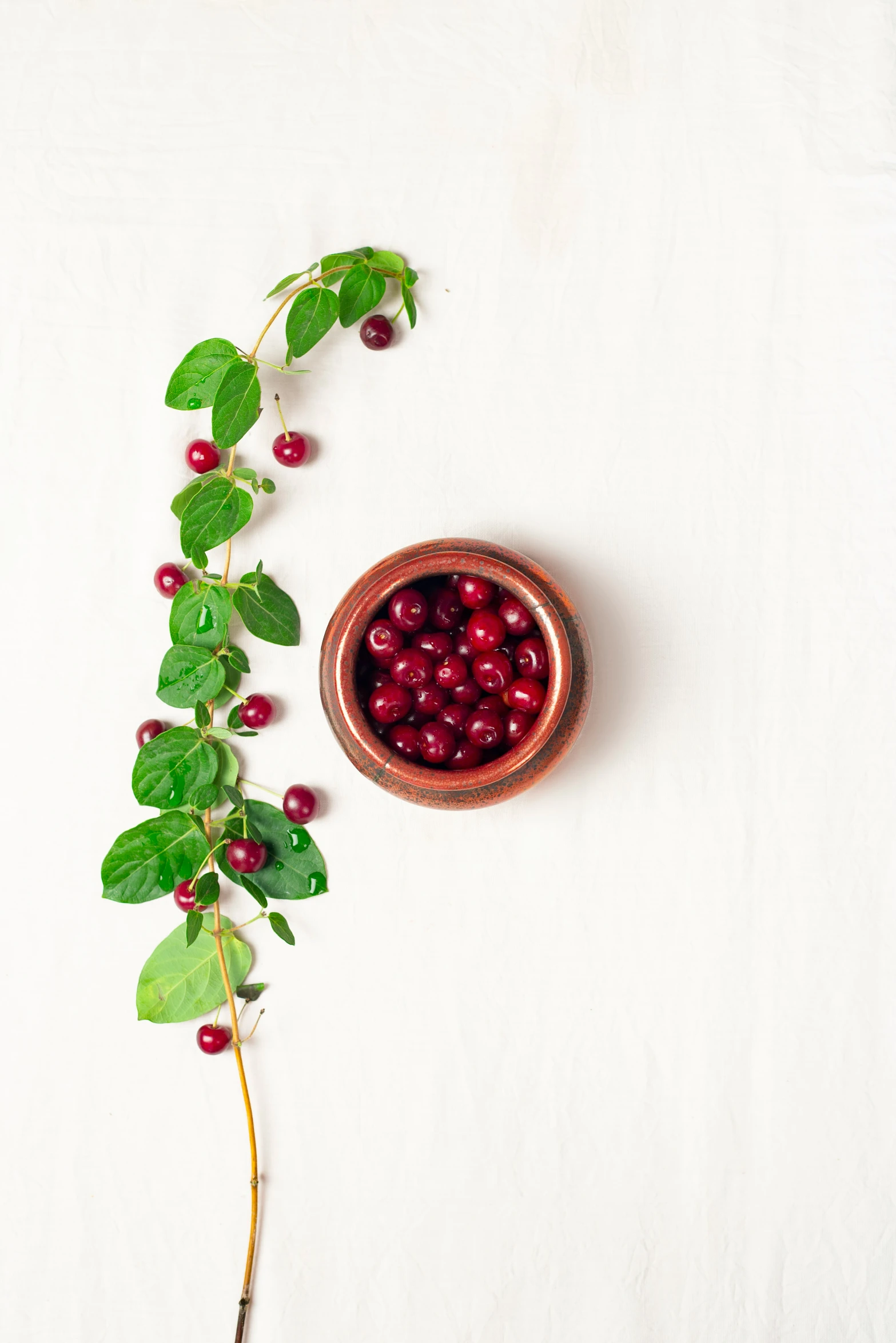 a bowl filled with fresh cranberry sauce on top of a table