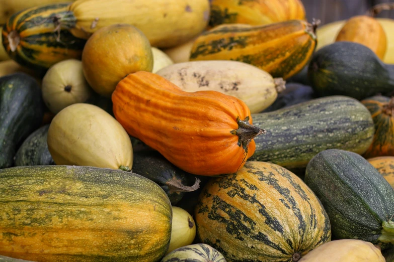 there are many varieties of squash on this pile