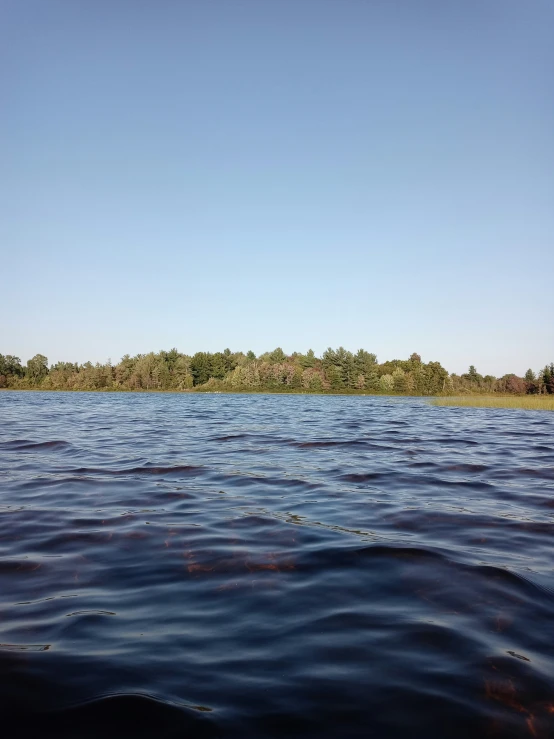 a view of some very pretty blue water and trees