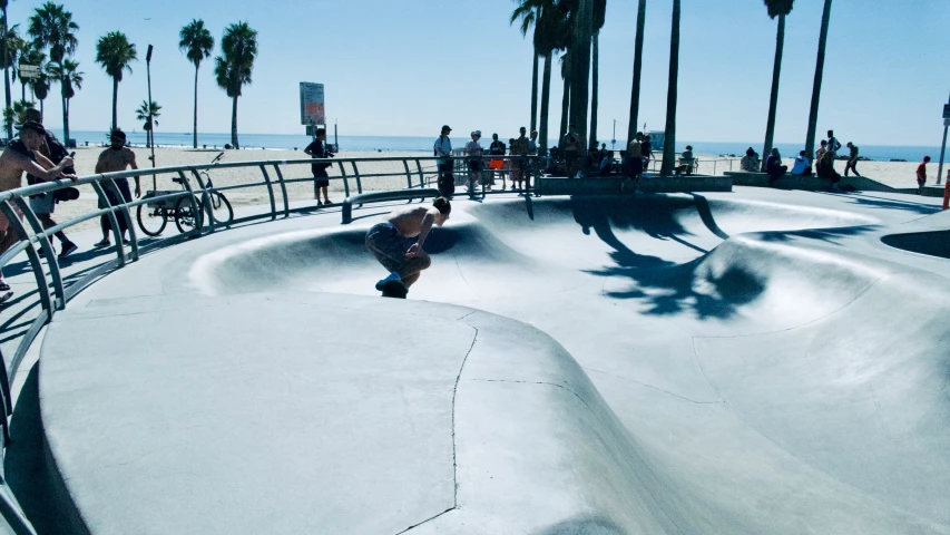 people skateboarding in a concrete skate park by the beach