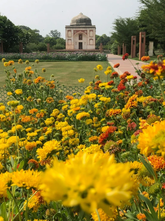 a building in the background surrounded by flowers