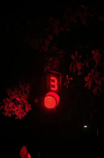 a close up of a traffic light in the dark