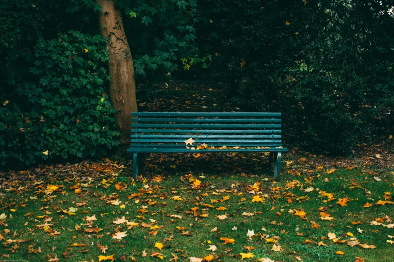 a blue bench surrounded by some leaves