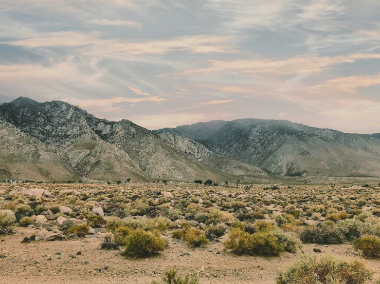 there are mountains in the background and scrub brush on the ground