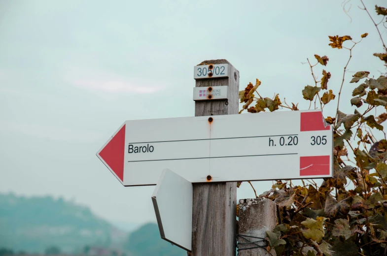 a red and white road sign is pointing towards the direction