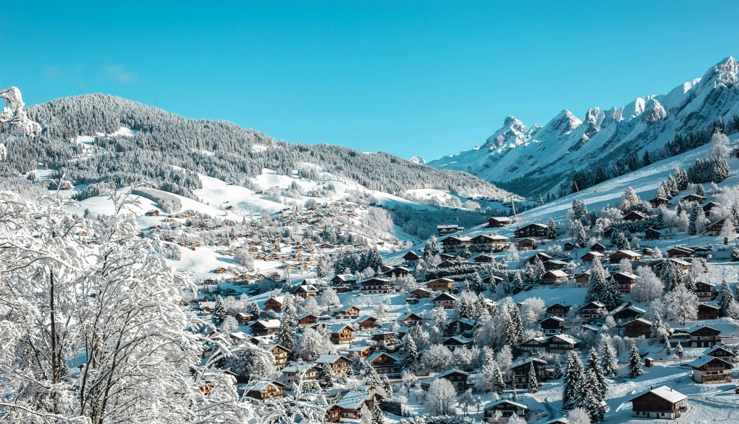 a village in the snowy mountains surrounded by trees