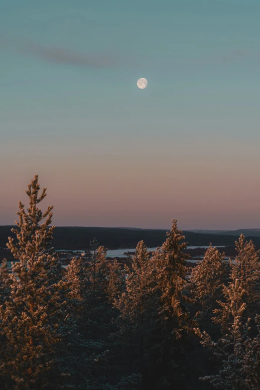 a full moon in the sky above trees