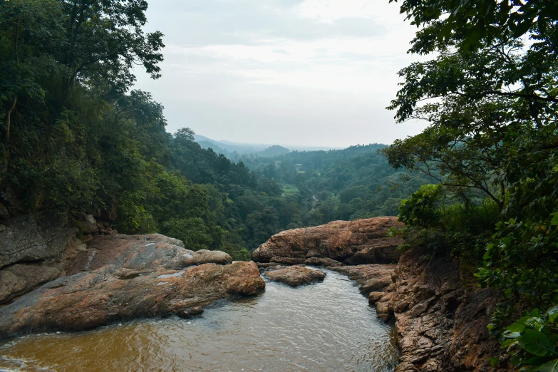 looking down at a river with water surrounded by trees