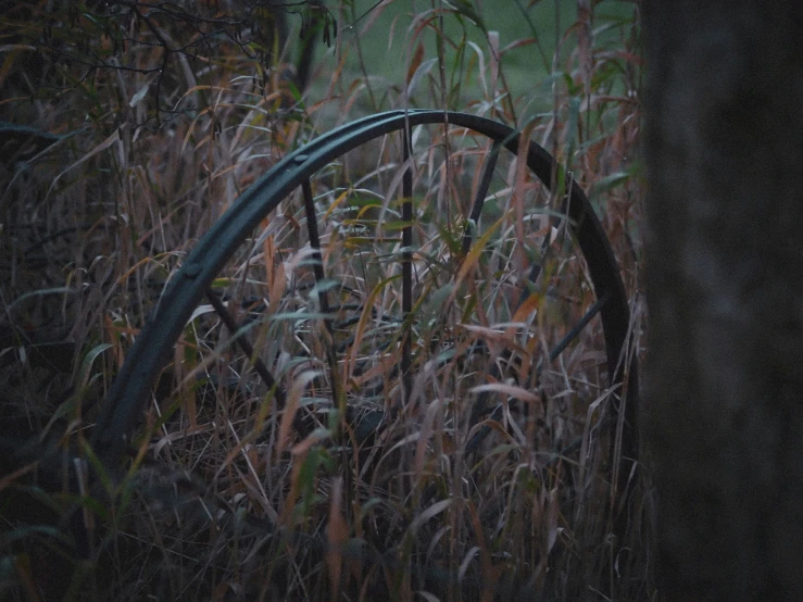 an old, worn out water wheel sits among the grasses
