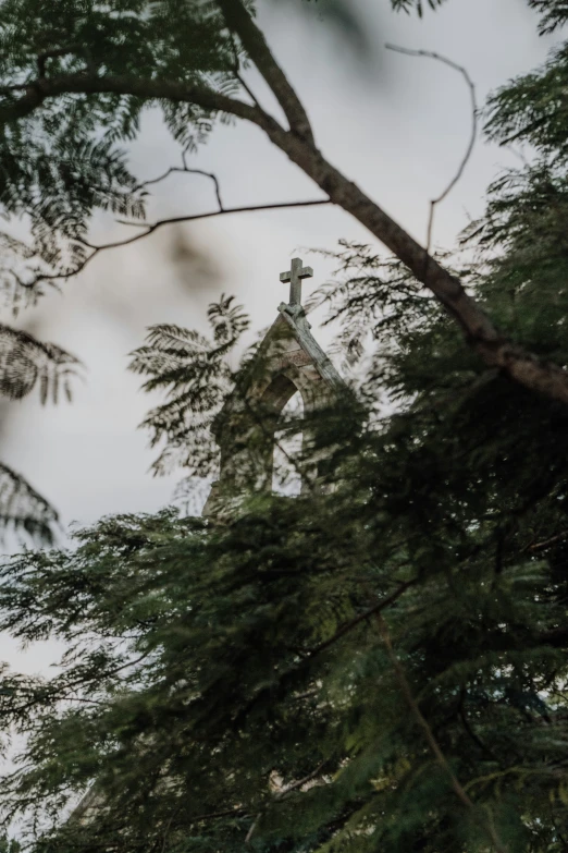 the church is among the trees and the clouds