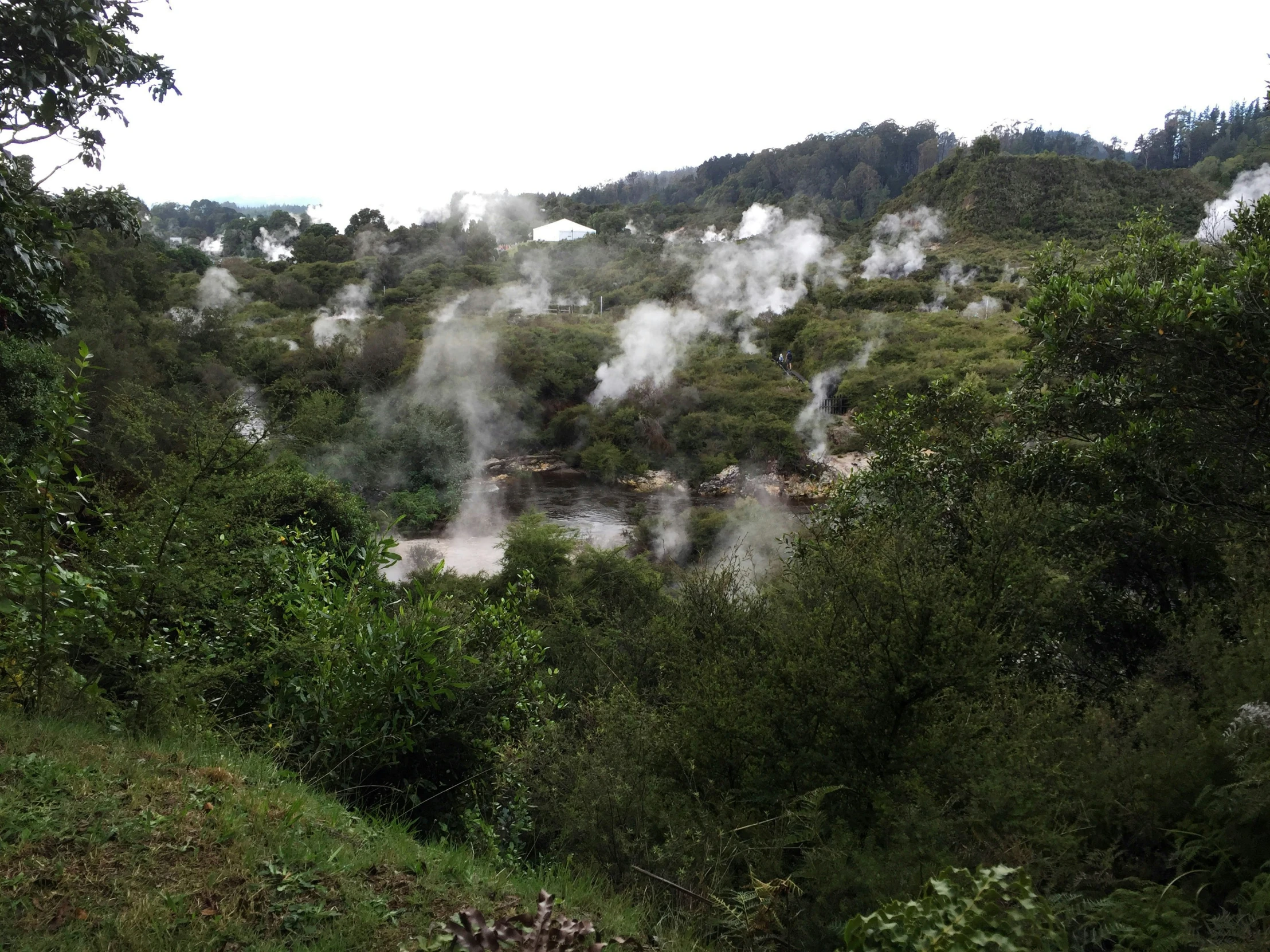 steam rising from the ground into an outdoor river