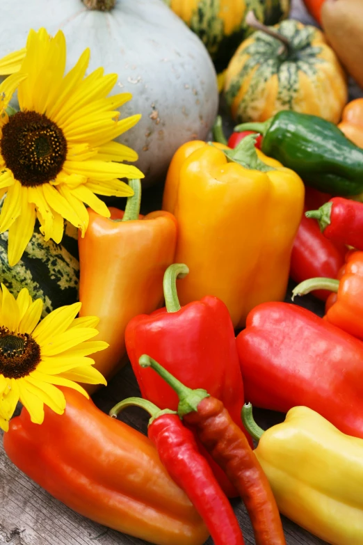 a variety of peppers are scattered around the image