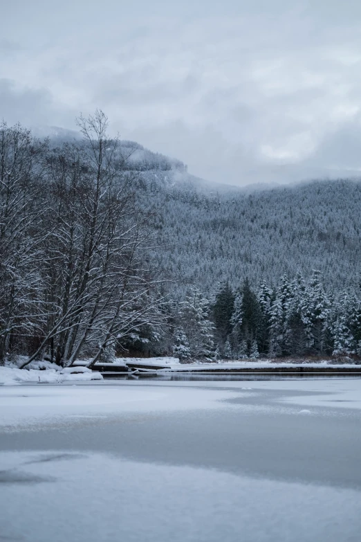 snowy forest, mountain, and lake in the distance