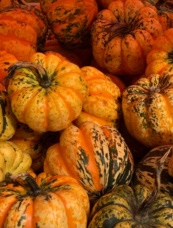 a big display of colorful pumpkins that are in the middle