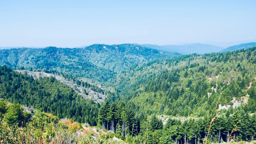 some trees and hills are shown from the top