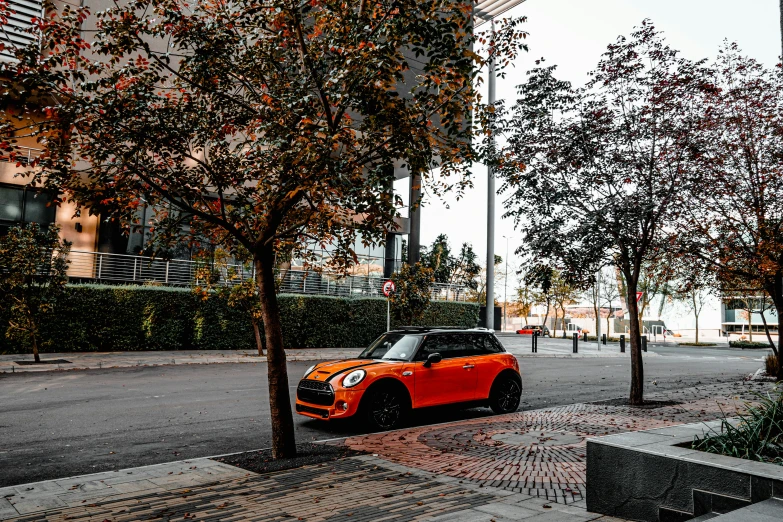 the small car is parked next to three trees