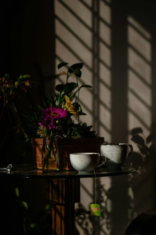 the sun shines through a window with pots and flowers