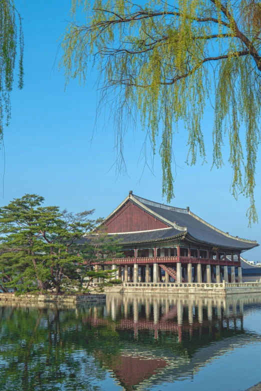 a pagoda by the lake in the city