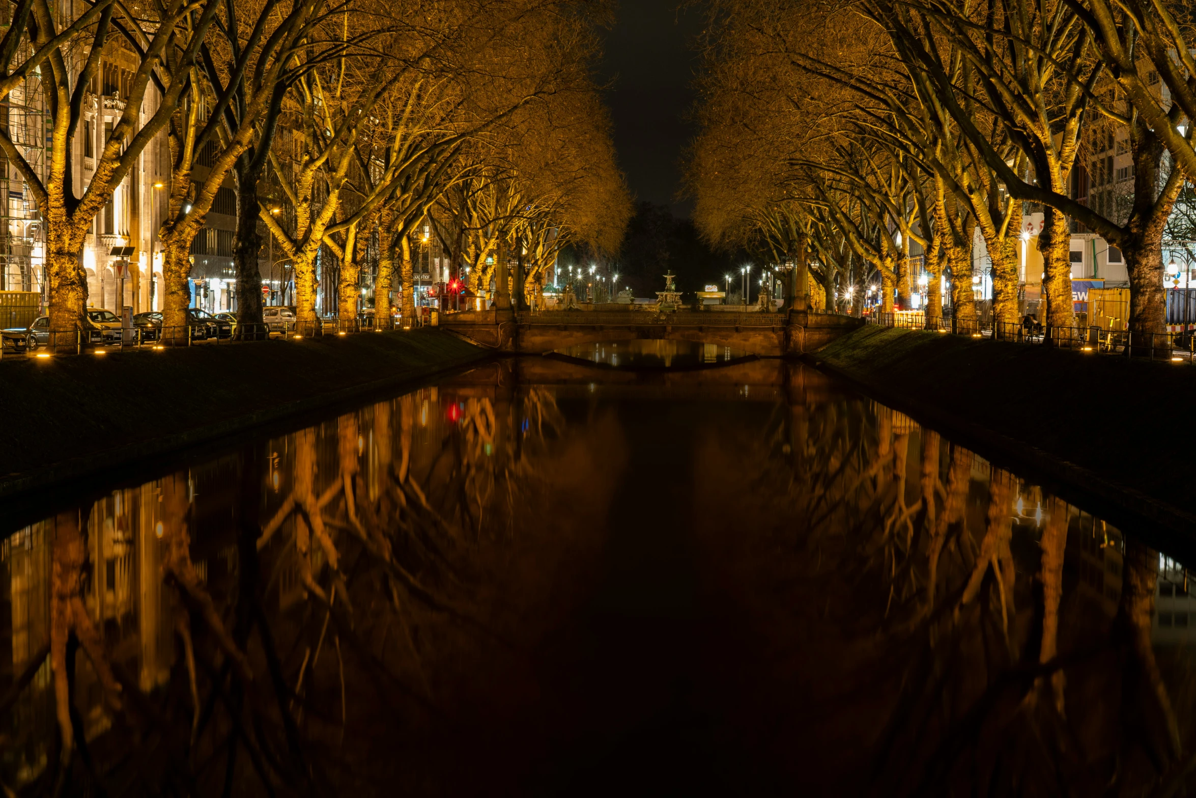 trees along a river line a city street