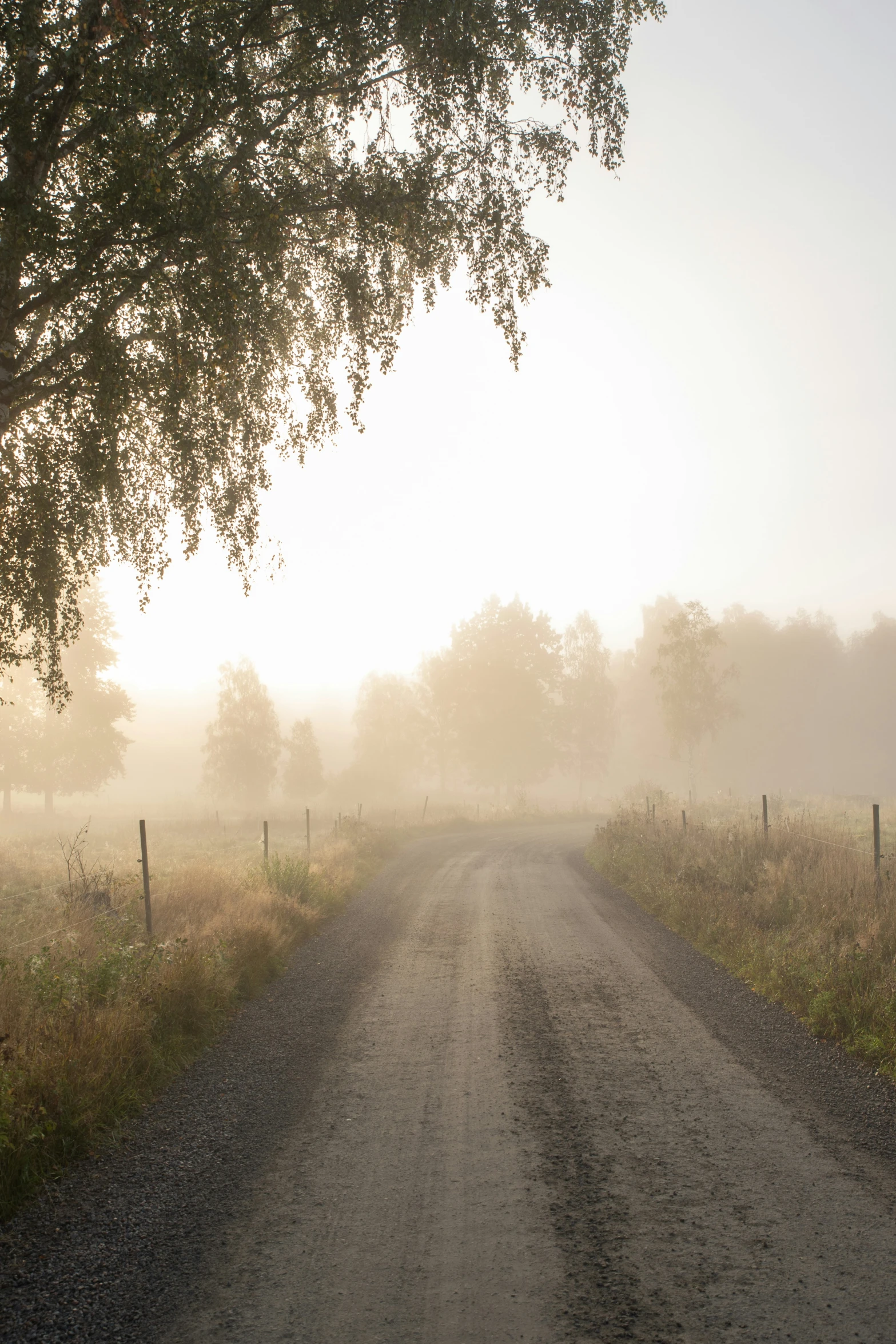 an empty road in the middle of a field