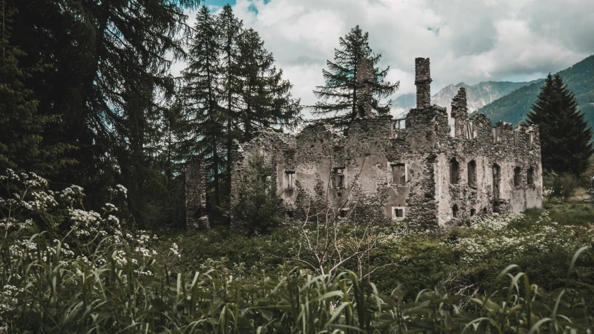 the ruins of an old stone house are surrounded by grass and trees