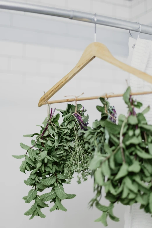 a pair of clothes pins hang from a wooden rack holding different types of plants