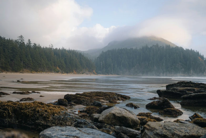 the view from across a beach of a forested forest