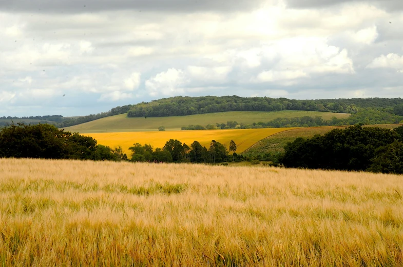 a hilly countryside is seen with yellow grass